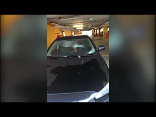 fuck in the car in the parking lot